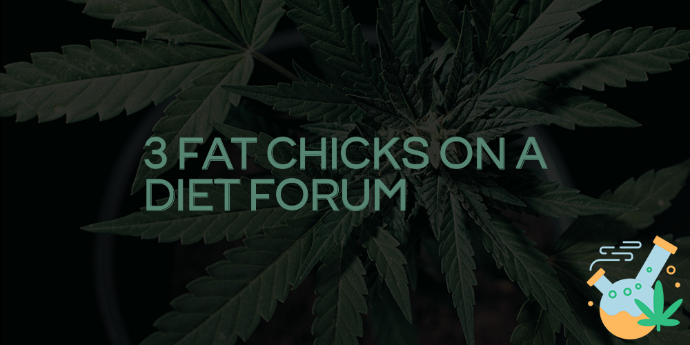 3 fat chicks on a diet forum