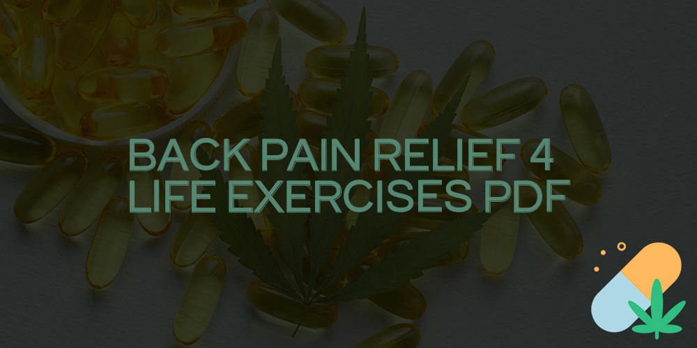 back pain relief 4 life exercises pdf