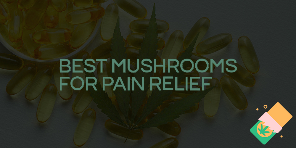best mushrooms for pain relief