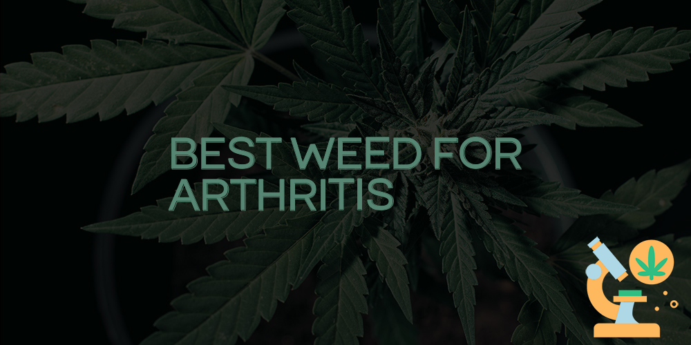 best weed for arthritis