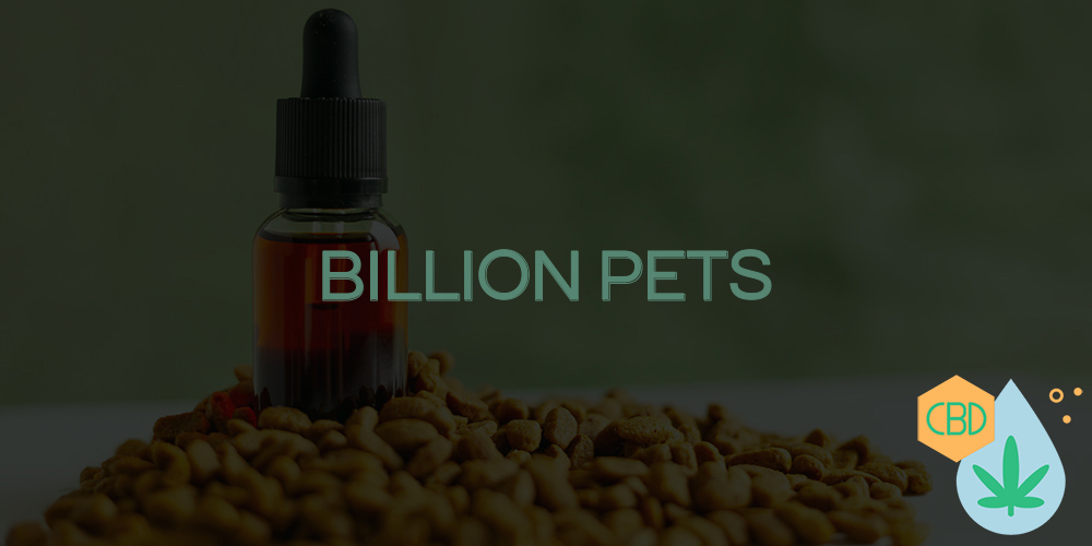 billion pets