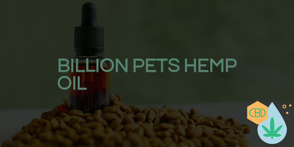billion pets hemp oil