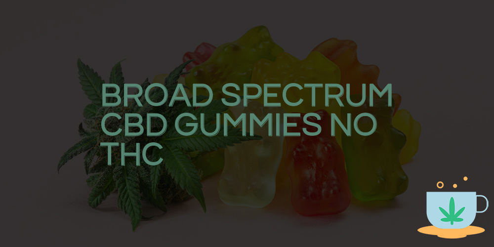 broad spectrum cbd gummies no thc