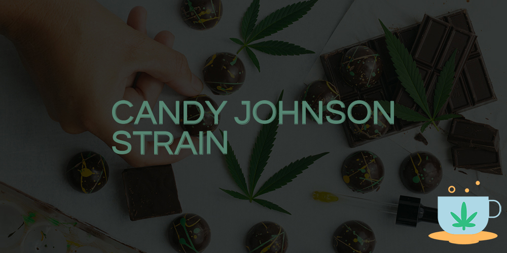 candy johnson strain