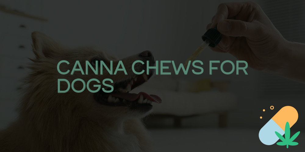 canna chews for dogs