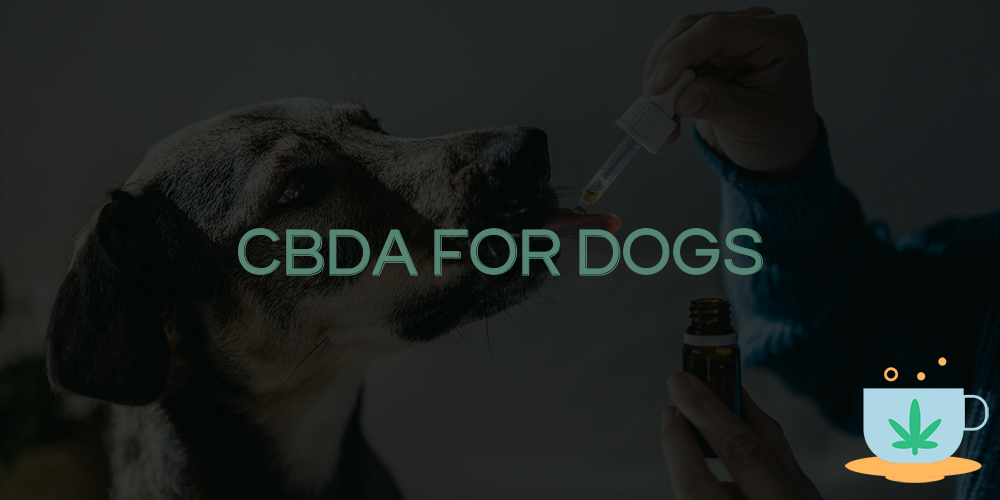 cbda for dogs