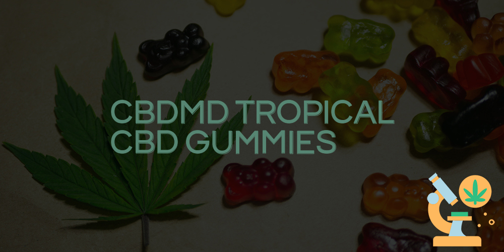 cbdmd tropical cbd gummies