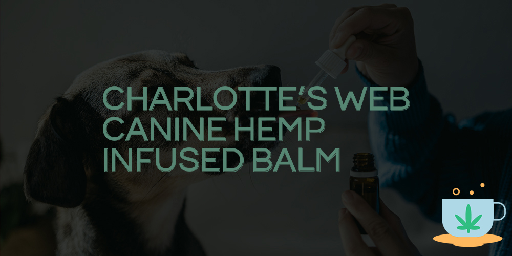 charlotte's web canine hemp infused balm