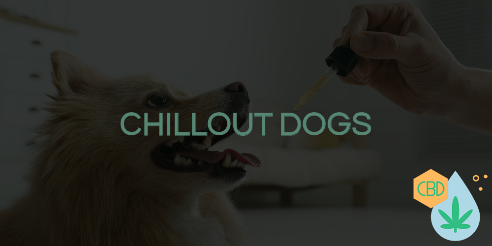 chillout dogs