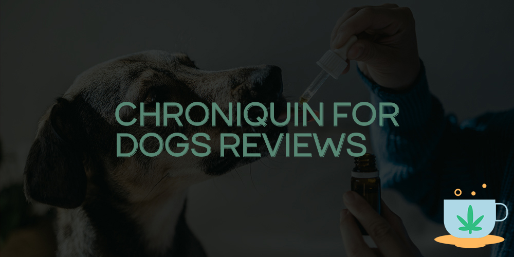 chroniquin for dogs reviews