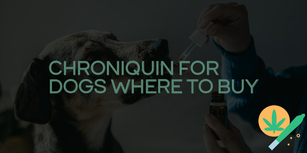 chroniquin for dogs where to buy