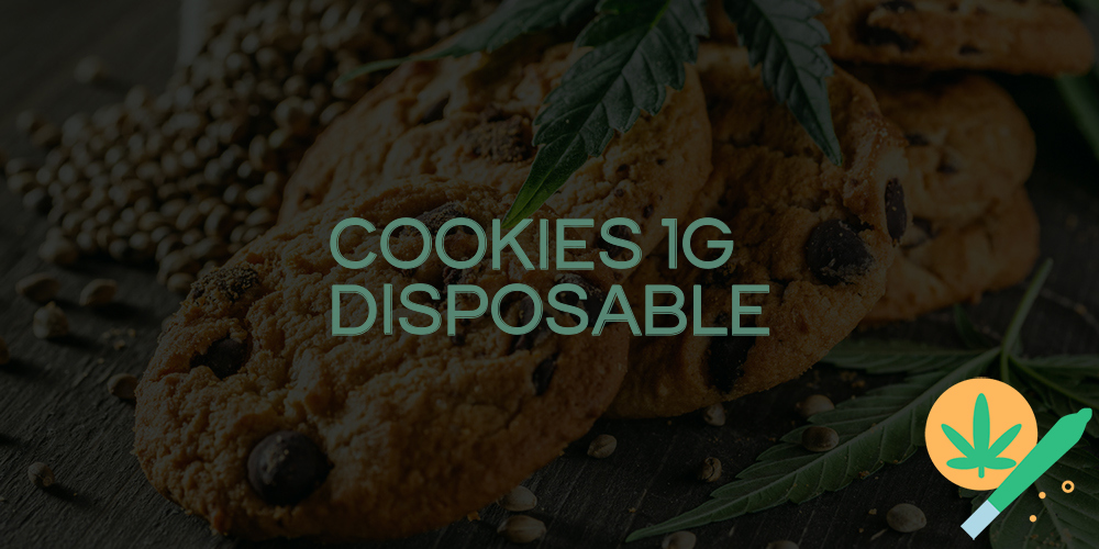 cookies 1g disposable