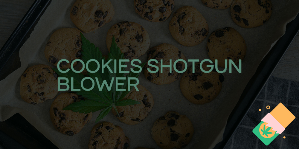 cookies shotgun blower