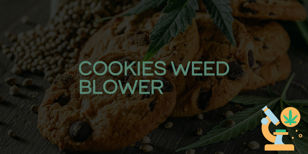 cookies weed blower